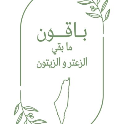 Palestine Olives Baqoun Thumbnail